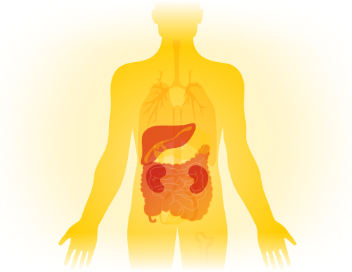 ჯანმრთელობა